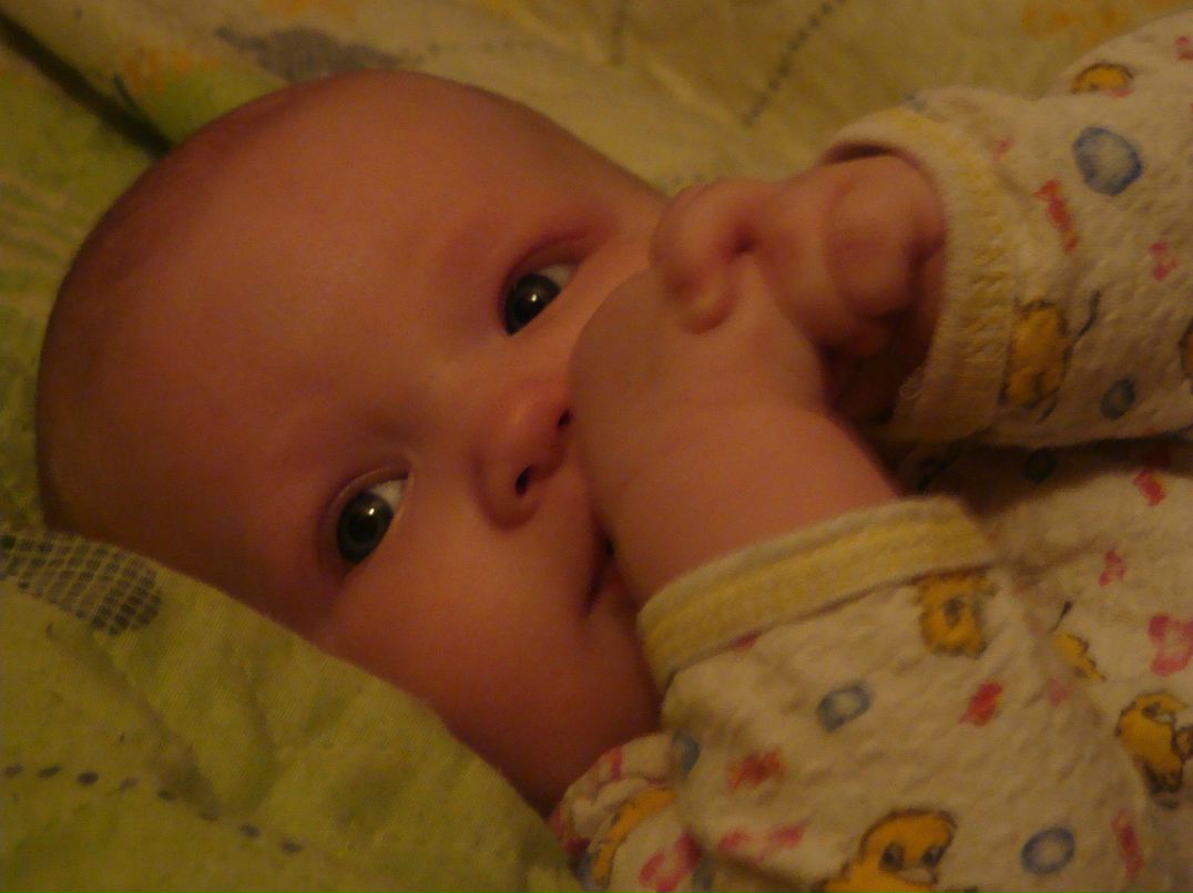 Александр Ноготков | Кротовка