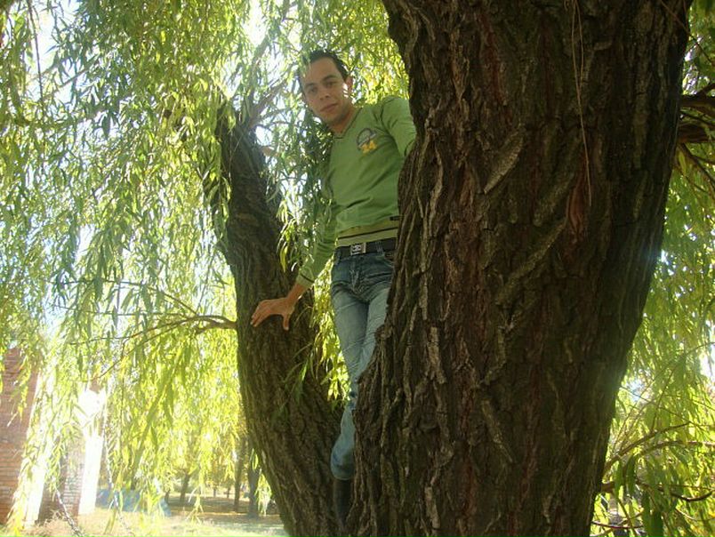 №5, Mohamed Murshan, 41 год, Киев №5, Mohamed Murshan, 41 год, Киев