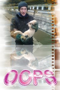 Богдан Огнистий | Виньковцы