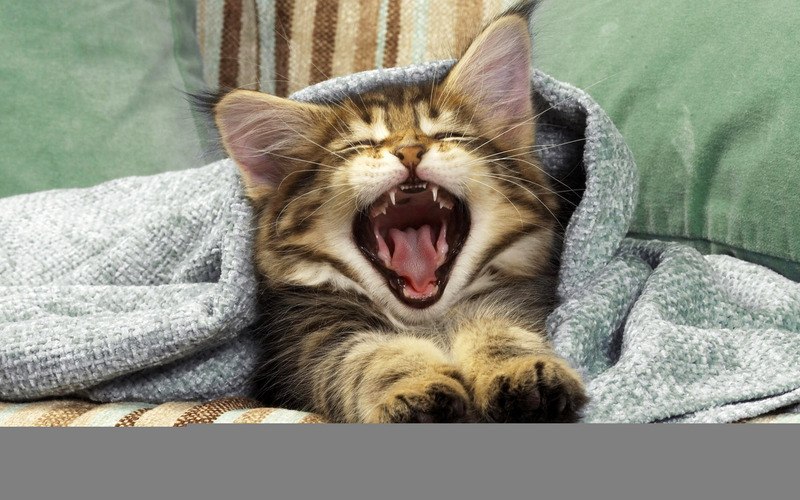 Ket Резуненко | 