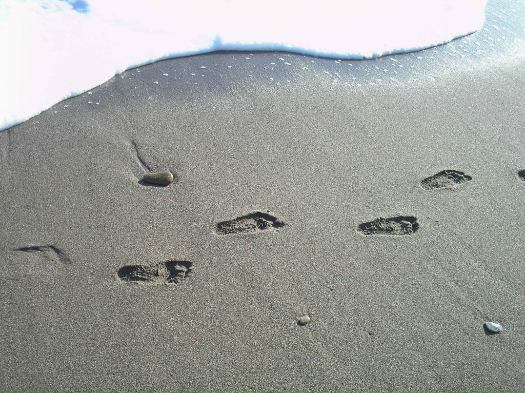 Aleksandra Piatykop | Харьков