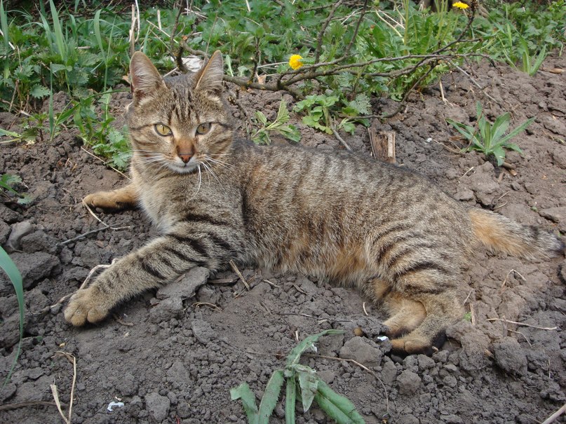 Владимир Панчук Владимирович | Харьков