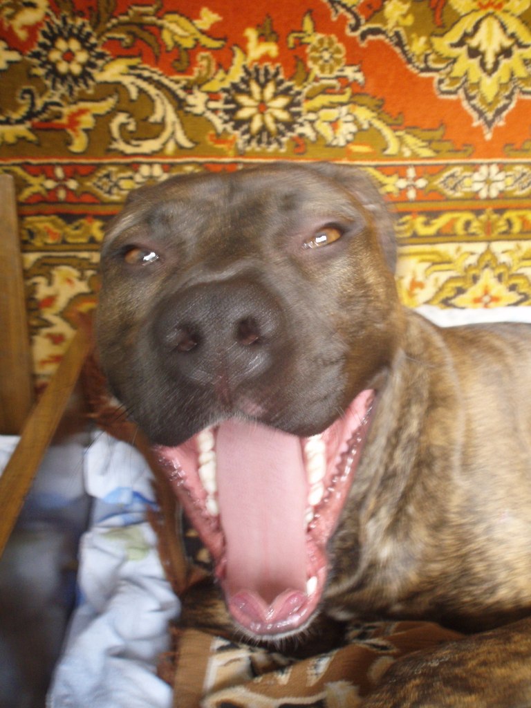 Андрей Загильский | Днепр (Днепропетровск)