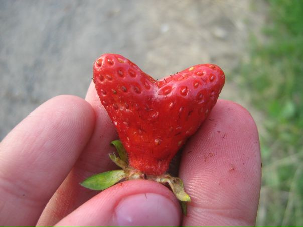 №73, Владислав Коваль, 36 лет, Коломыя №73, Владислав Коваль, 36 лет, Коломыя