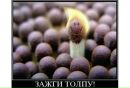 Фотография Миша Босых