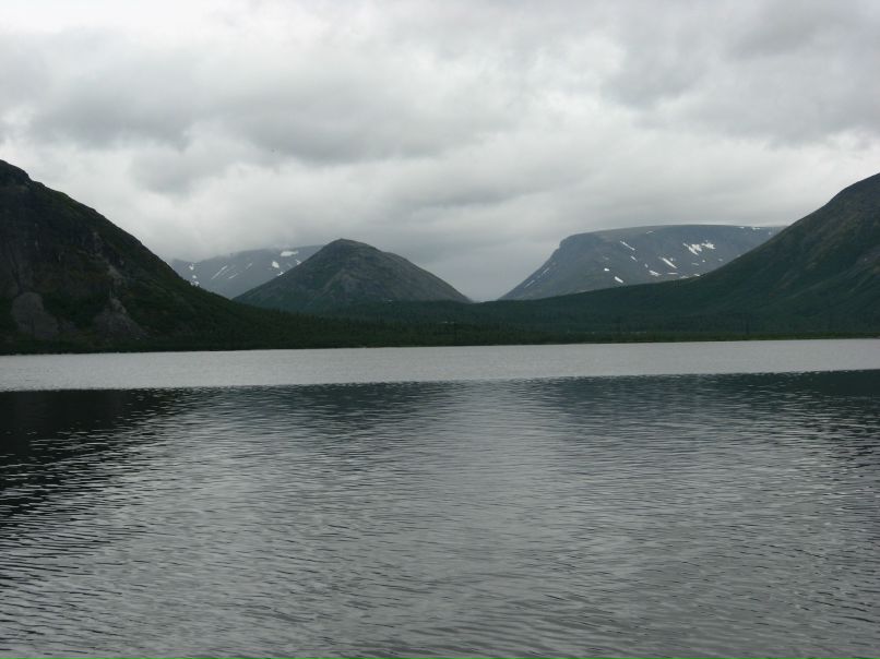 Елена Корнеева | Санкт-Петербург