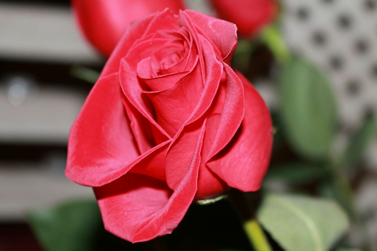 Наталия Рассудительная | Heraklion