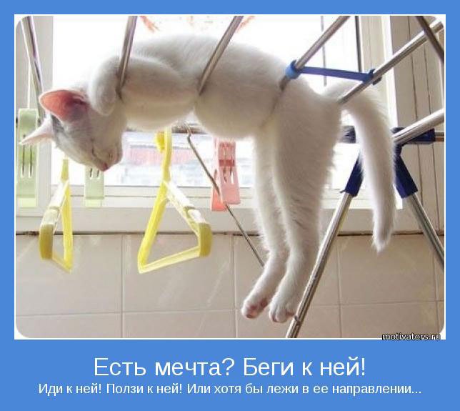 Наталья Климова | Донецк