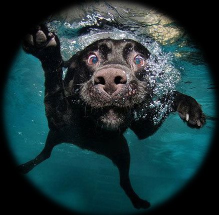 Андрей Андреевич | Москва