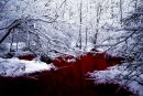 №13 Мирза Гарибов 07.02.1985: профиль, фото, статус - ВКонтакте