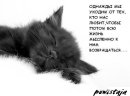 Фотография Сергеевой Ксении