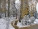 Ольга Коцупий фотография #10