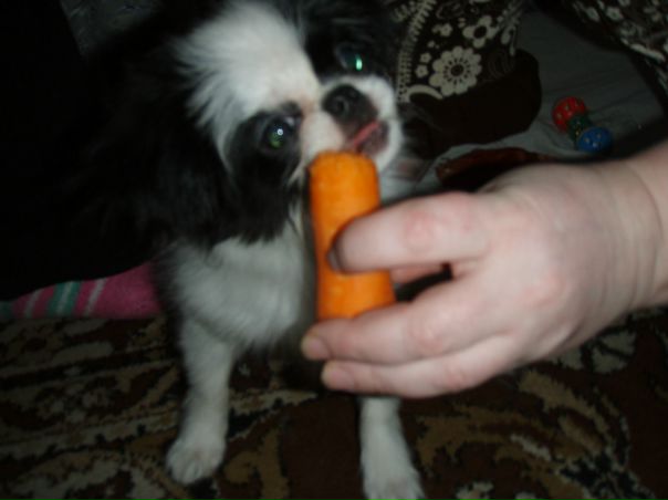 №9, Виктор Чащин, 60 лет, Северодвинск №9, Виктор Чащин, 60 лет, Северодвинск