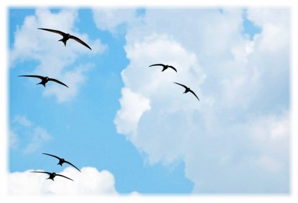 Настя Аль-Ассаф | Москва