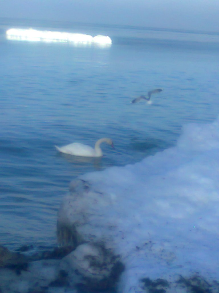 Наталья Богданова | Апатиты