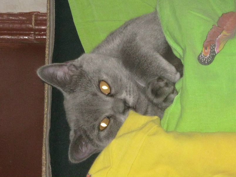 №21, Виктор Сологуб, 44 года, Киев №21, Виктор Сологуб, 44 года, Киев