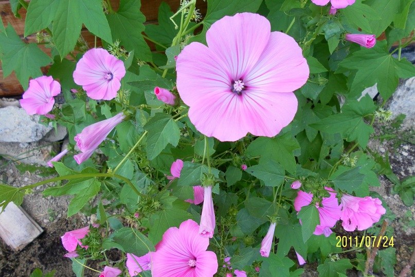 Ляйсан Маликова | Казань