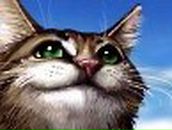 Макс Дуднев | 