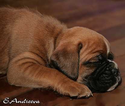 Юлия Смоляр | Луганск