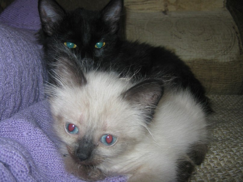 Сергей Назукин | Ульяновск