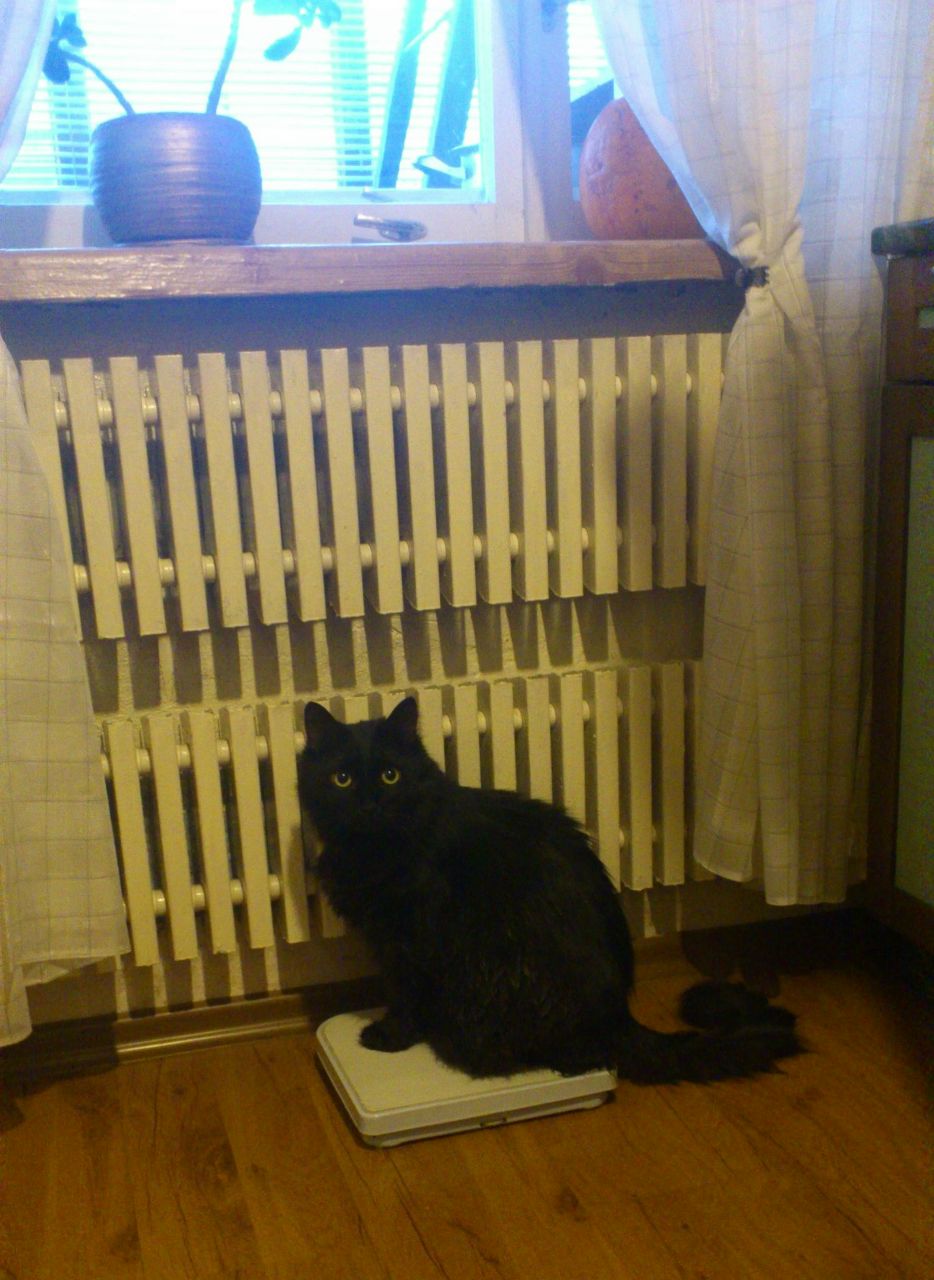 Татьяна Колтынюк Shadow | Таллин