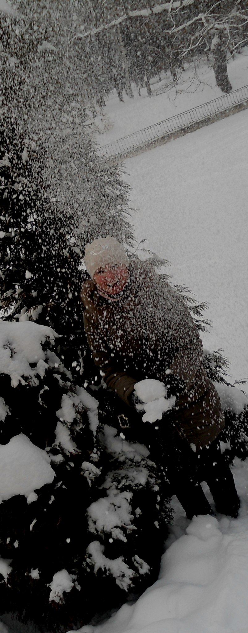 Сніжана Гавриляк | Львов