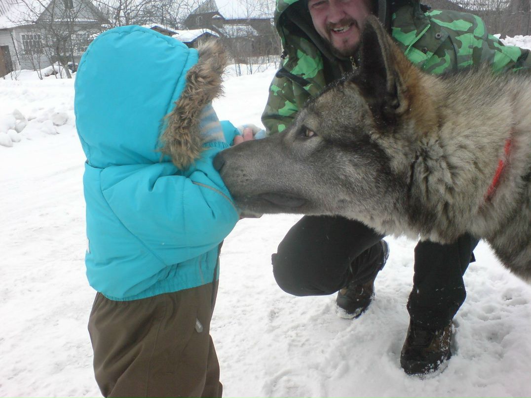 Алишер Муслимов | Санкт-Петербург