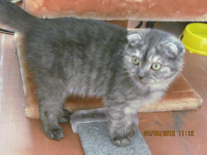 Елена Рогалева | Санкт-Петербург