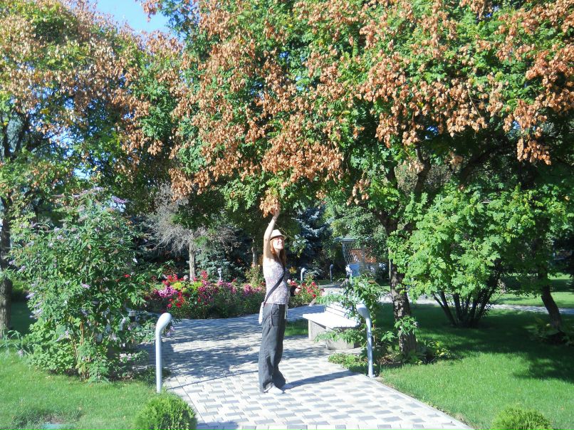 Анастасія Ніцко | Киев