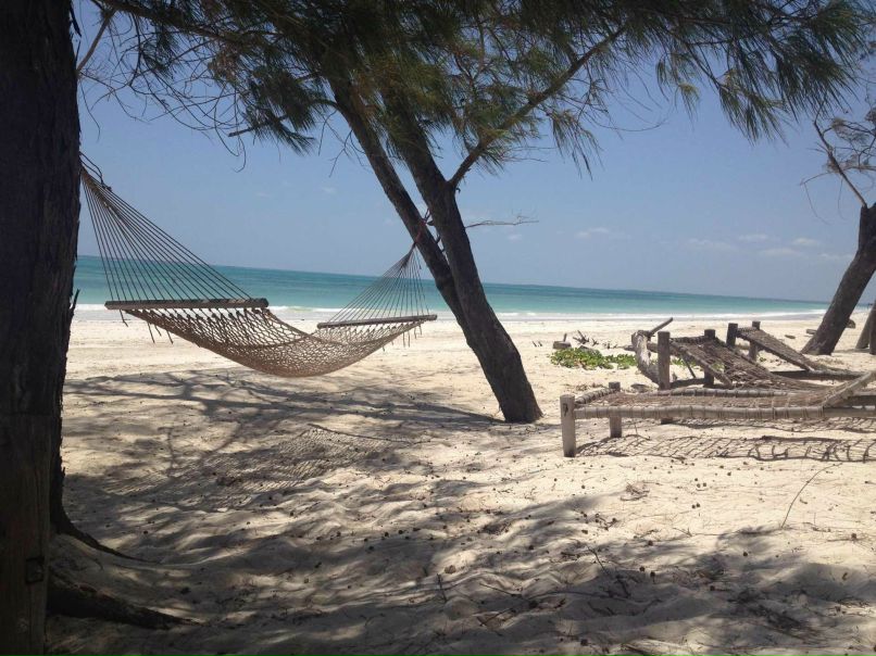 Demetry Liuntou | Могилёв