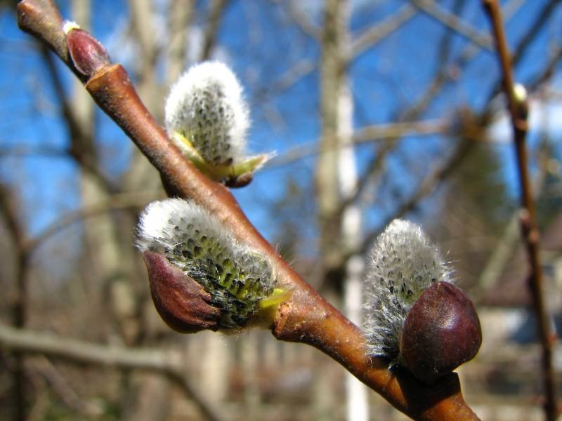 Евгения Гузь | Луганск