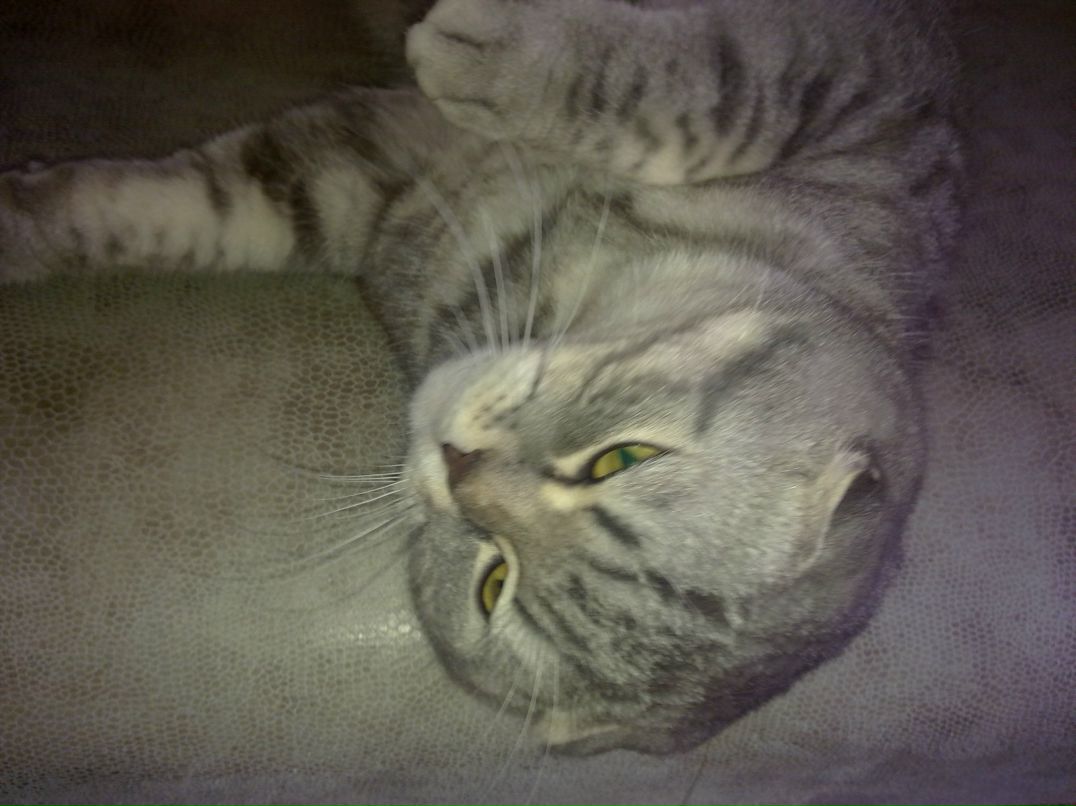 Максим Стерлигов | Луганск