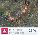 №20 Серега Кашишов 31.03.1989: профиль, фото, статус - ВКонтакте