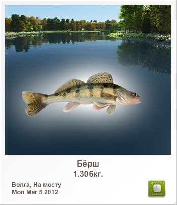 Андрей Явтуховский | Кировск