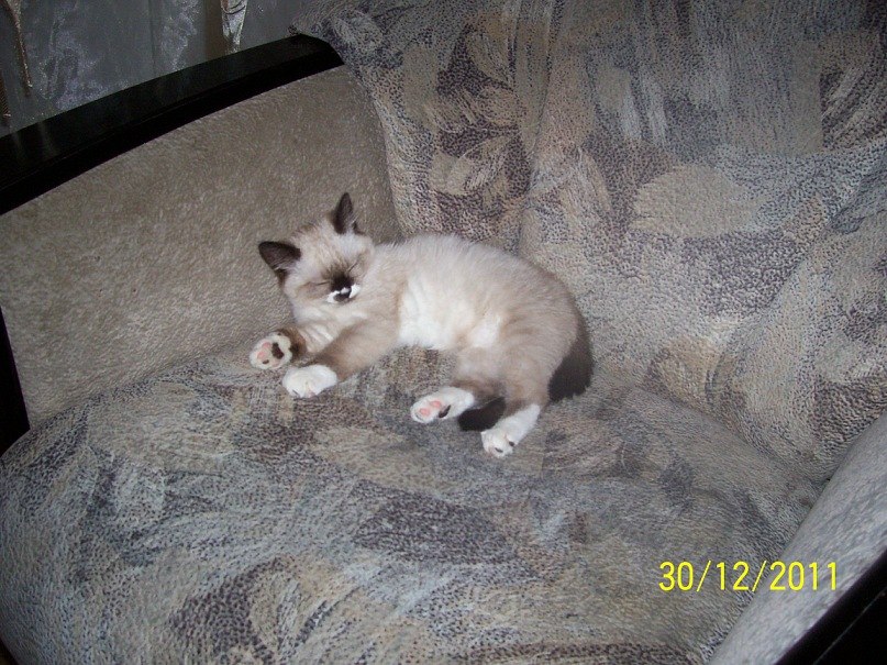 Галина Илларионова | Нижний Новгород