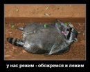 №25 Максим Захаров