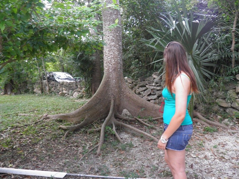 Анастасия Кравец | Киев