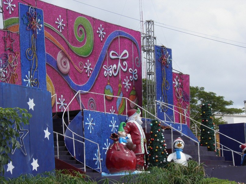 Анастасия Кравец | Киев