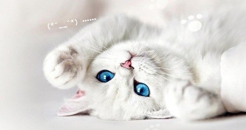 Оля Коваленко | Боярка