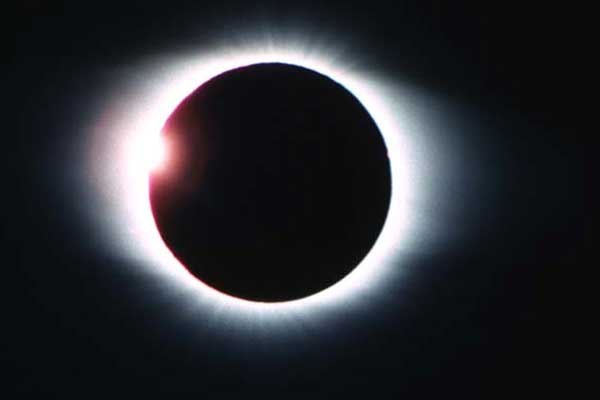 Макс Воробьев | 