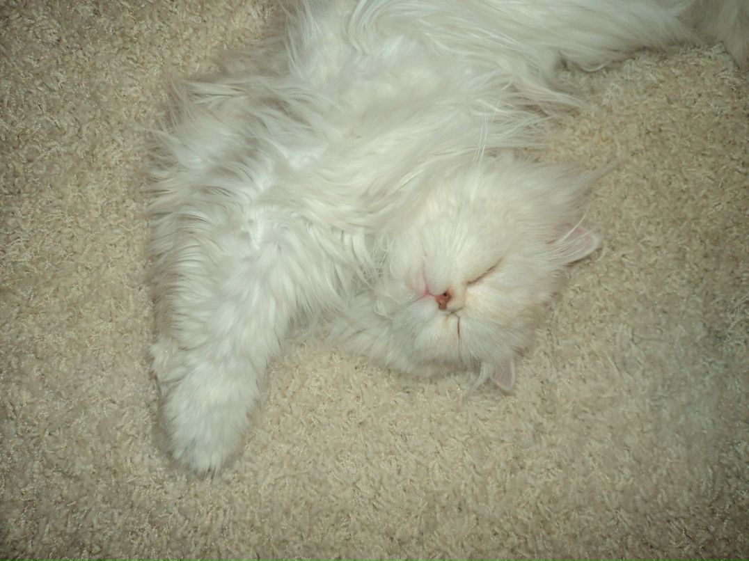 Надежда Ефимчук | Пенза