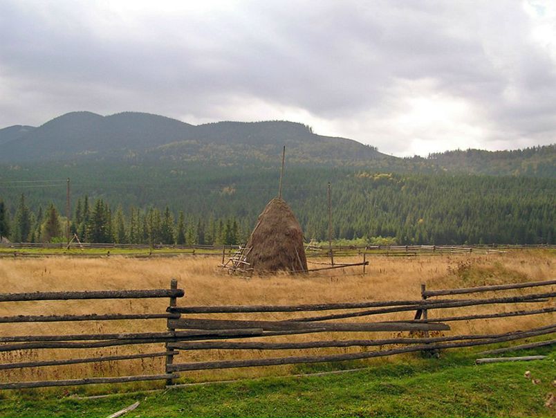 №10, Даниил Генералов №10, Даниил Генералов