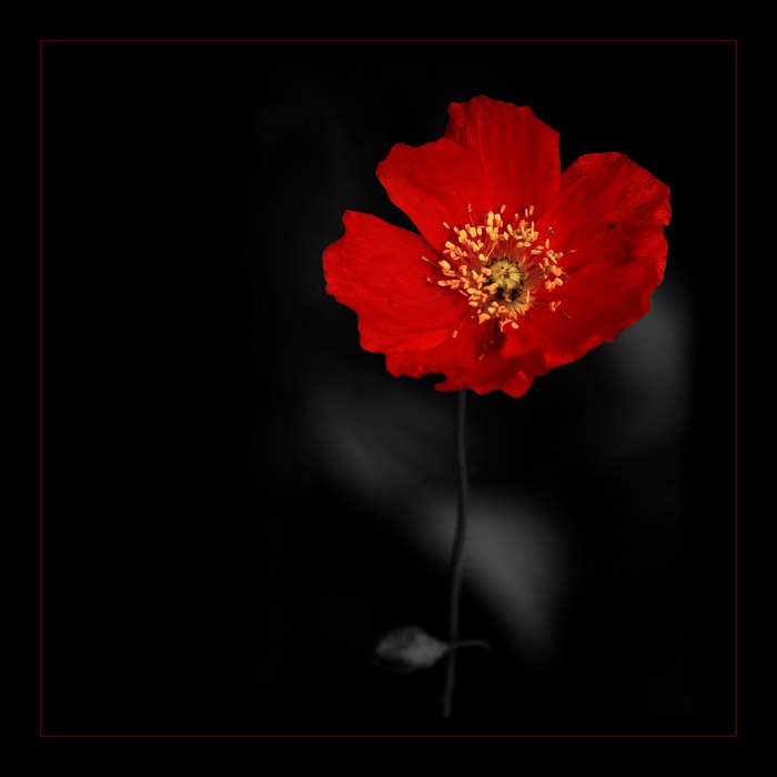 Кристина Громова | Москва