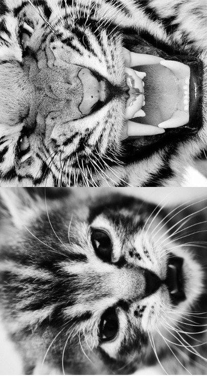 Елена Туманова | Челябинск