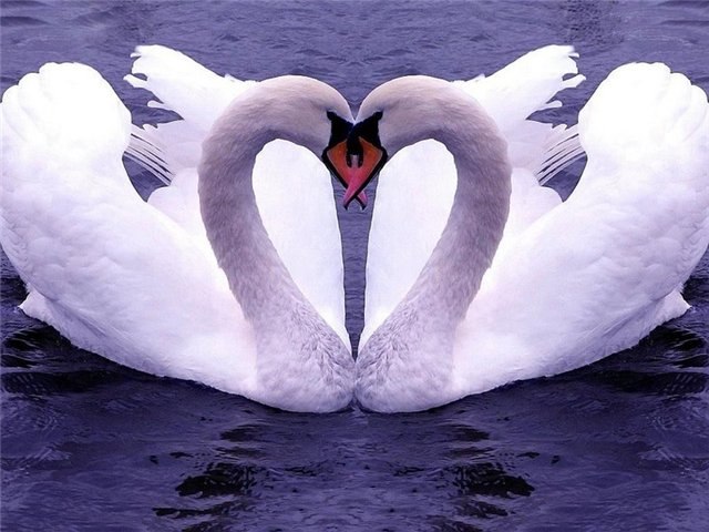 Ксения Дерменжи | Москва