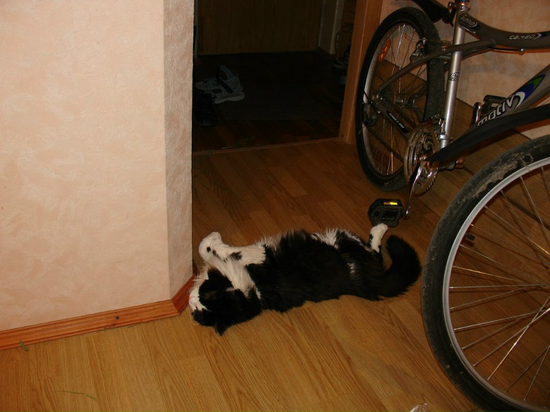 Галина Селиванова | 