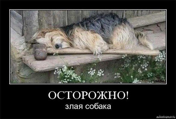 Ольга Козлова | Ртищево