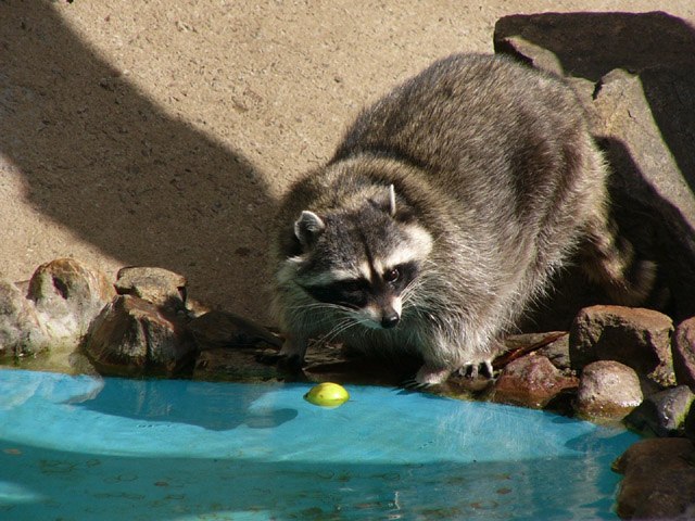 Олеся Мазурова | Красноярск
