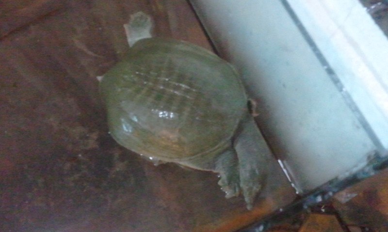 Татьяна Иванова | Москва