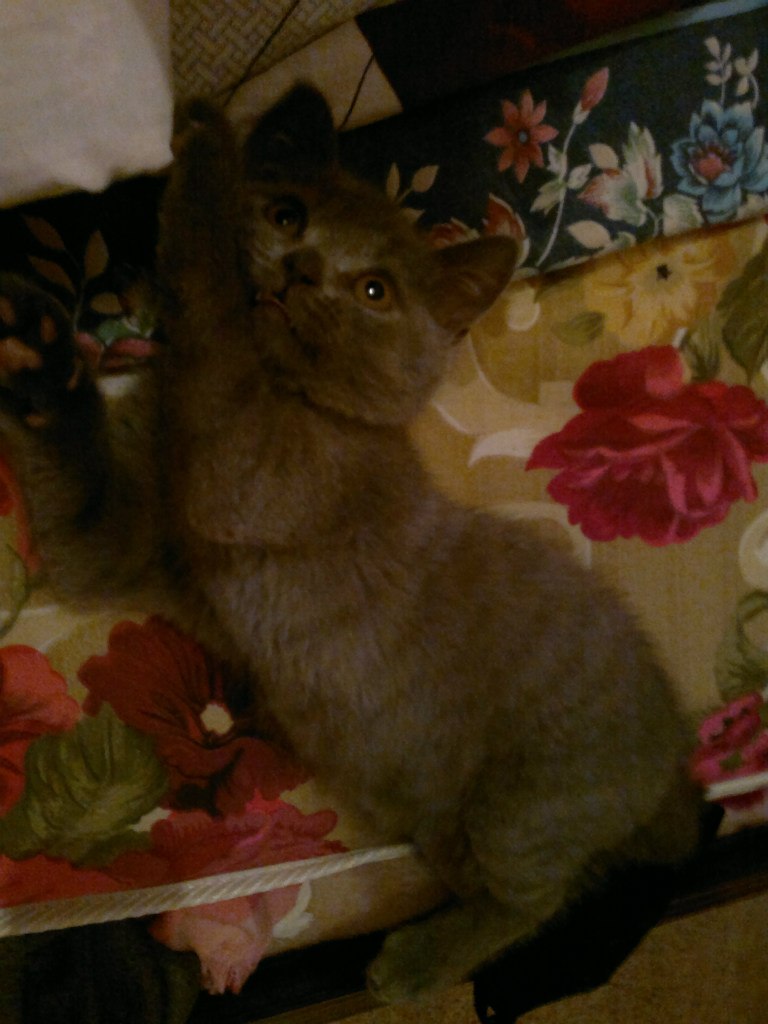 Диана Исламгулова | Уфа